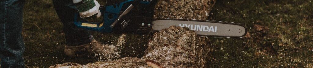 Top 10 Best 20 Inch Chainsaws (Jun 2026) - DIY Tool Advisor